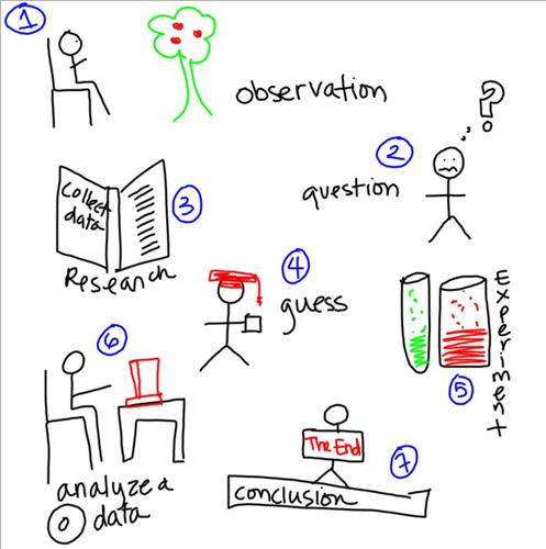 dc8949c7f8a84165a96d32b096cc4913 The Scientific Method and the IT Projects Failure Rate debate